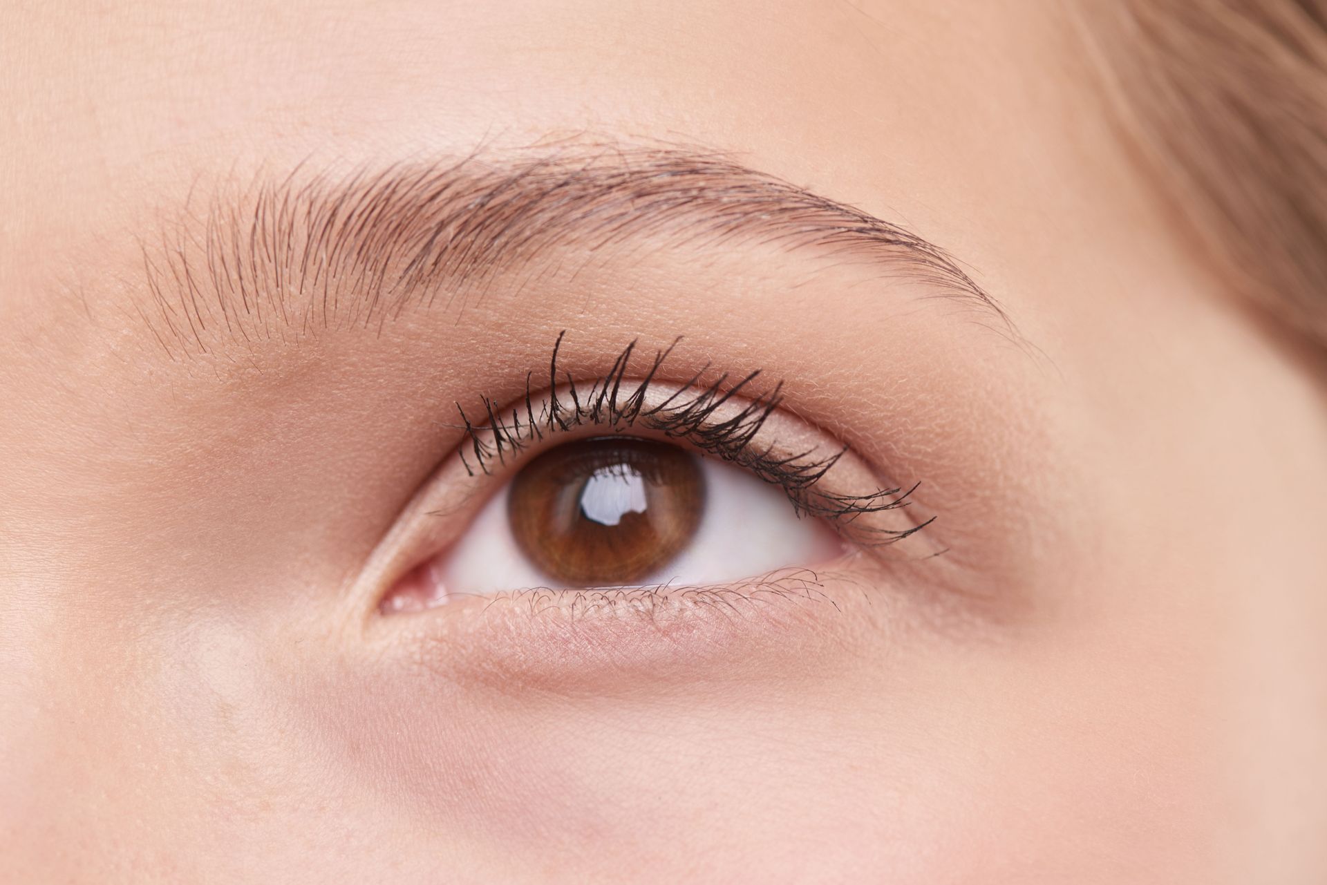 Detailed close-up of a woman's natural brown eye, showcasing eyelashes and eyebrow.